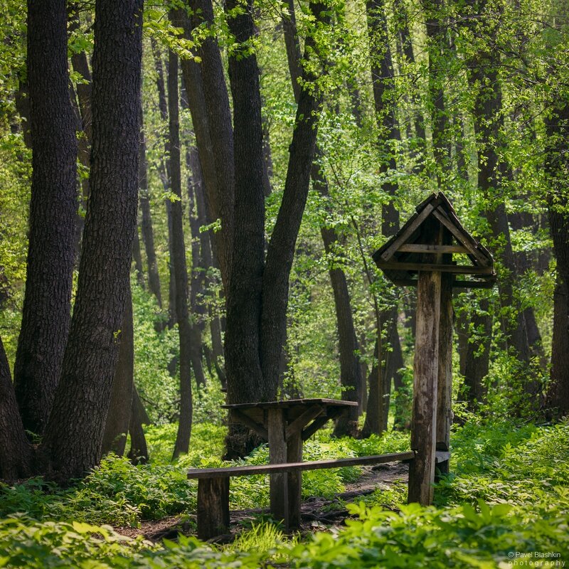 Беседка в лесу - Pavel Blashkin