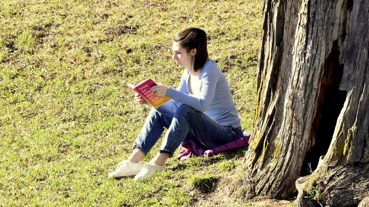 Девушка с умной книгой ...  (оказывается, ещё есть девушки, читающие бумажные книги) - Сергей 
