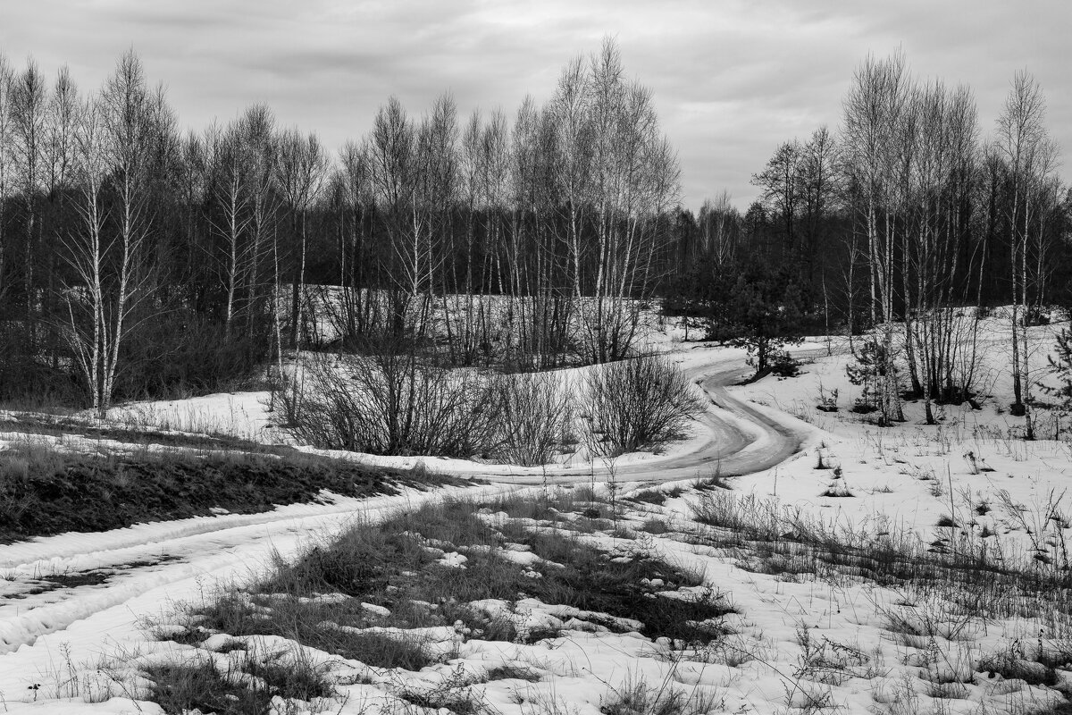 Уж близок март. - Сергей Татаринов