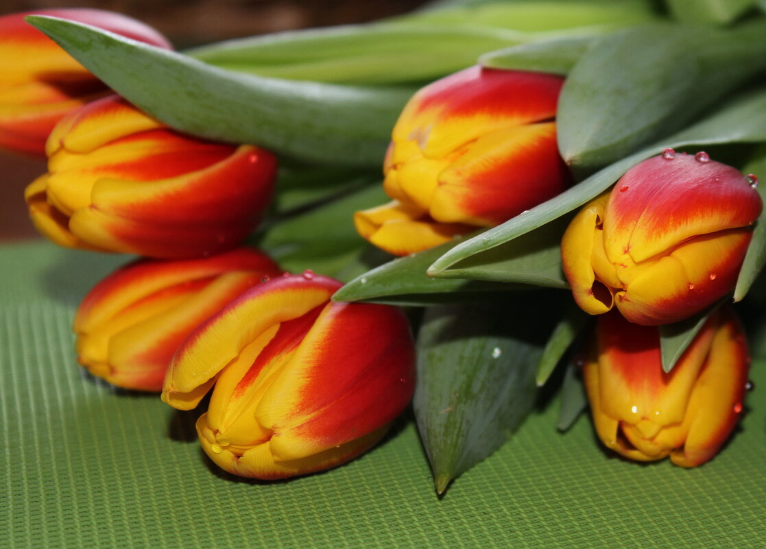 Букетик очаровательных тюльпанов .. - Татьян@ Ивановна