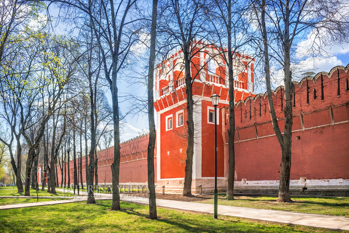 Башня, Донской монастырь, Москва - Юлия Батурина