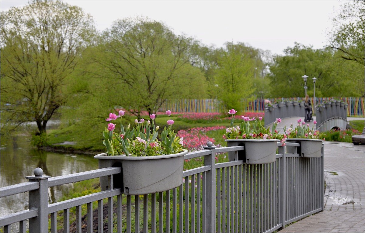 Весенние мостики - Сеня Белгородский