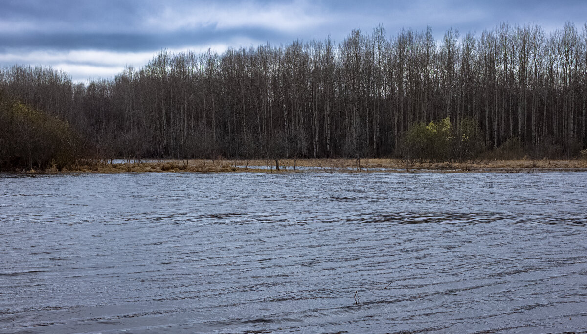 Bolshoy Puchkas River on a cloudy April day - Sergey Sonvar