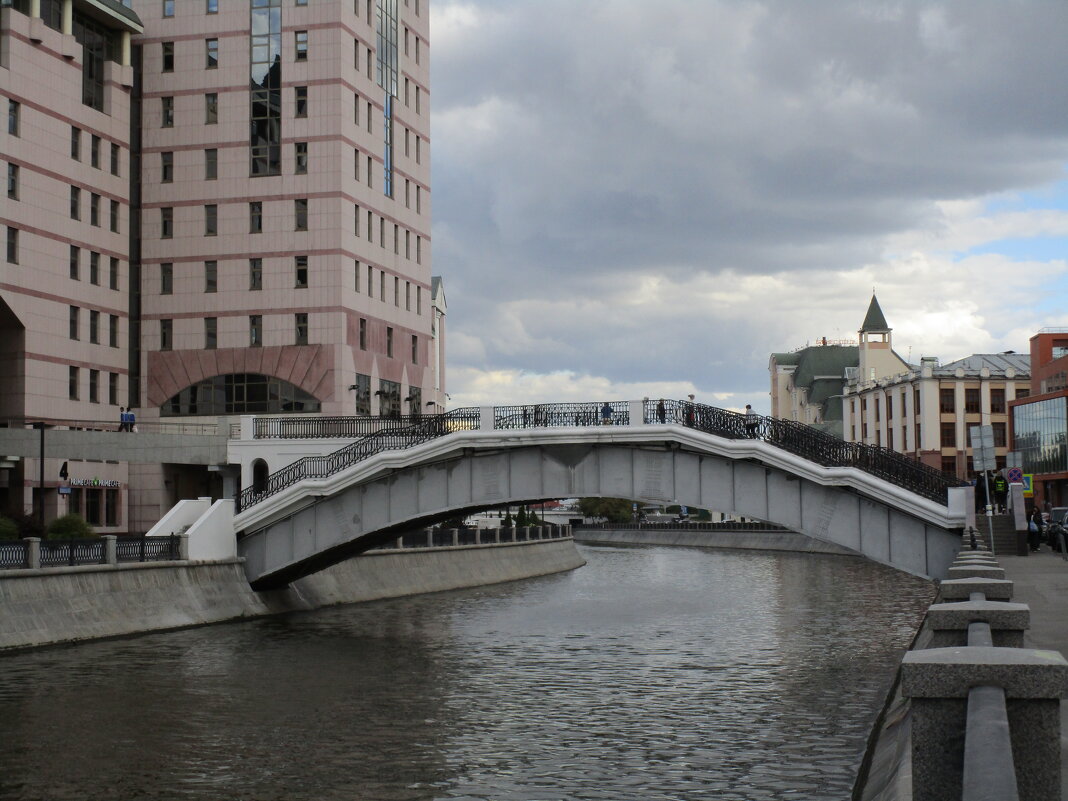 один день проездом в Москве - Елена Шаламова