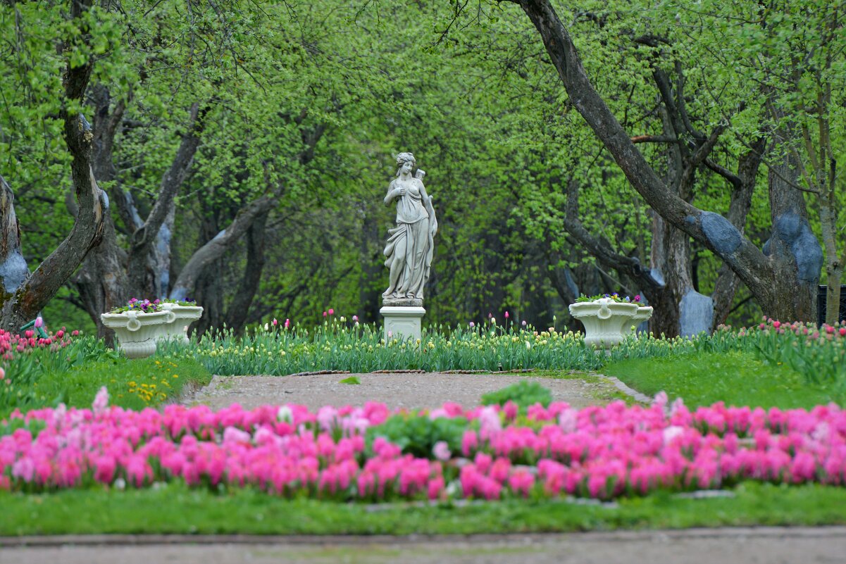 Весна в усадьбе Коломенское - Константин Анисимов