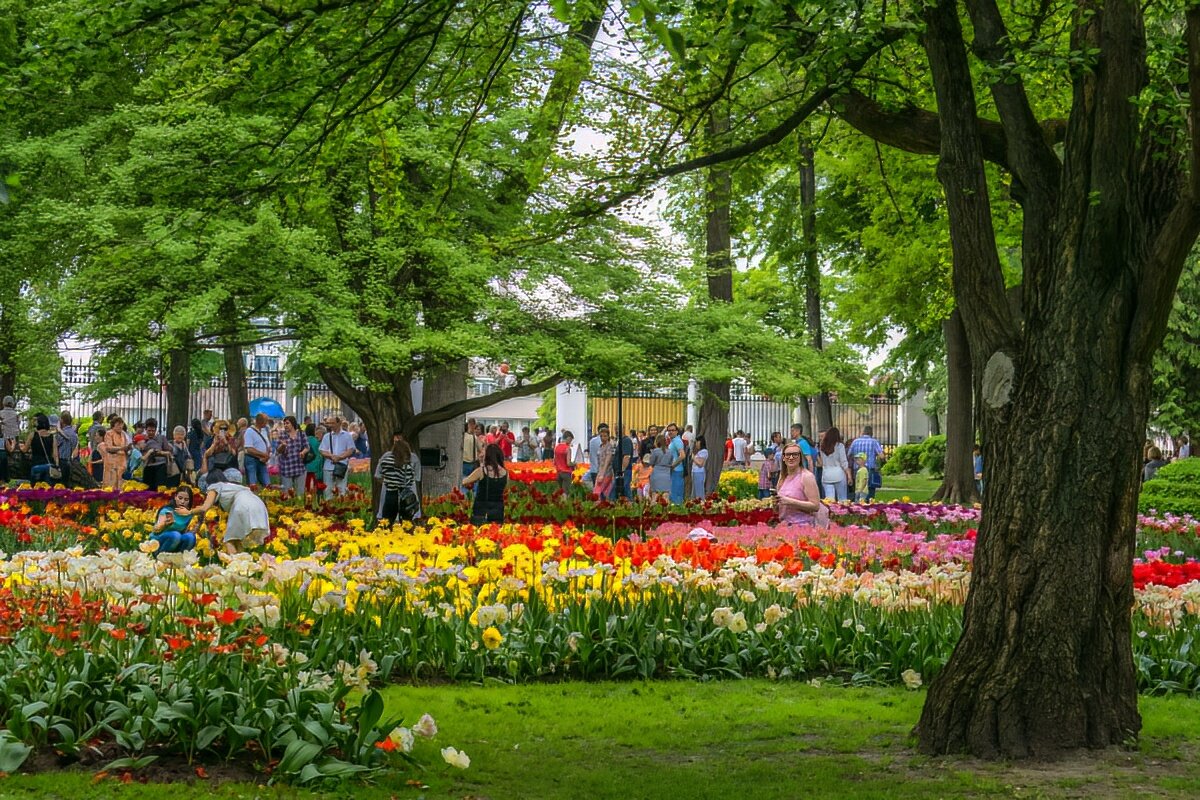 Цветы в парке города Гомель - Игорь Сикорский