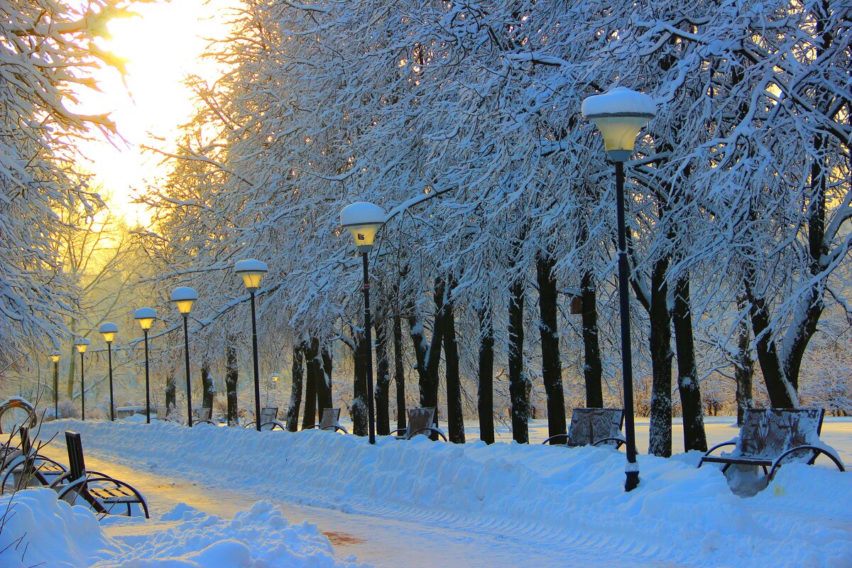 парк  зимой - Владимир иванов