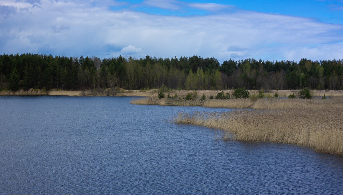 Small quarry near the forest in May | 12 - Sergey Sonvar