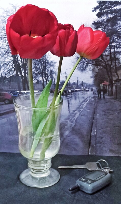 Тюльпаны в пути.. - veilins veilins