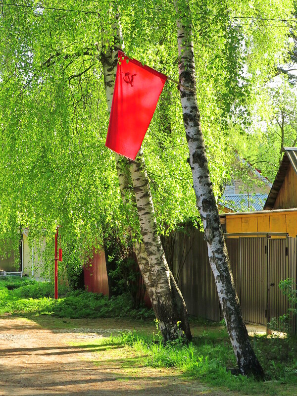 Красное знамя - Андрей Снегерёв
