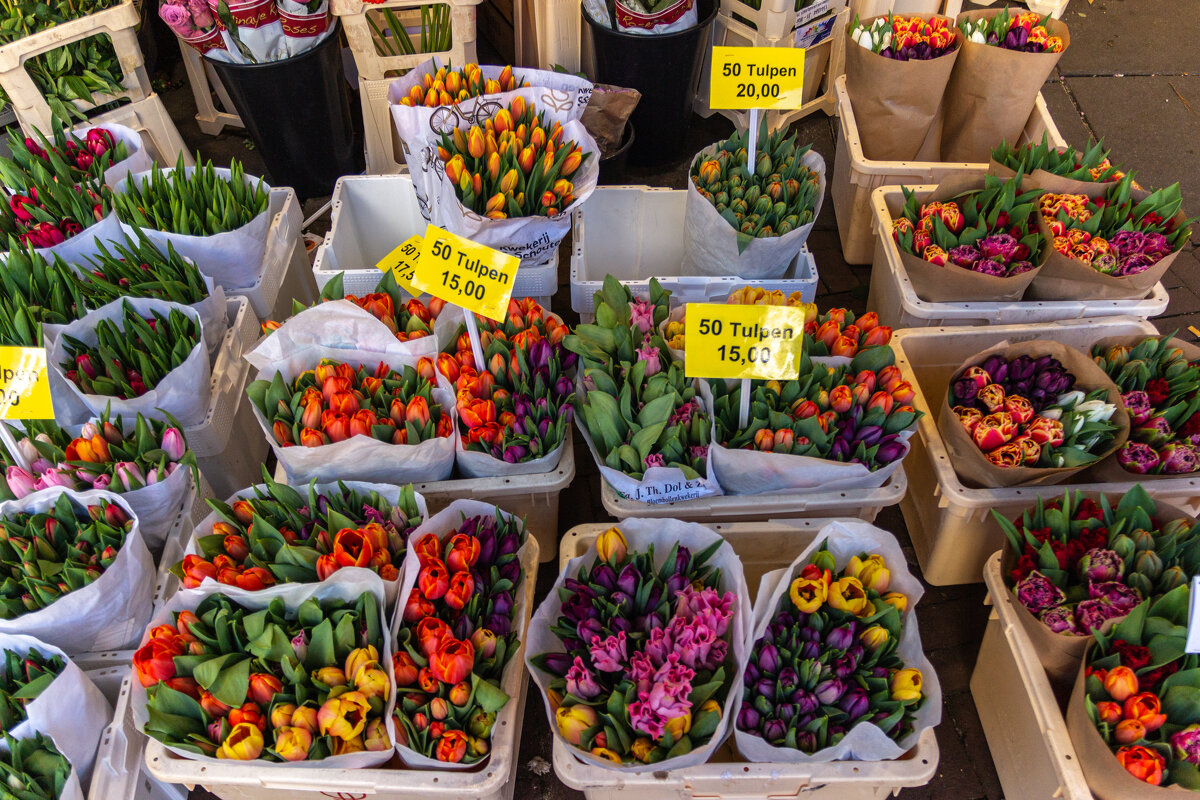 Цветочный рынок в Амстердаме - Alex Chilaj