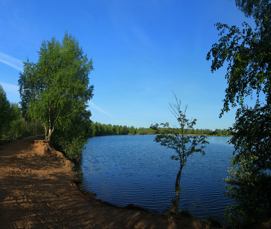 *** - Сергей Григорьев