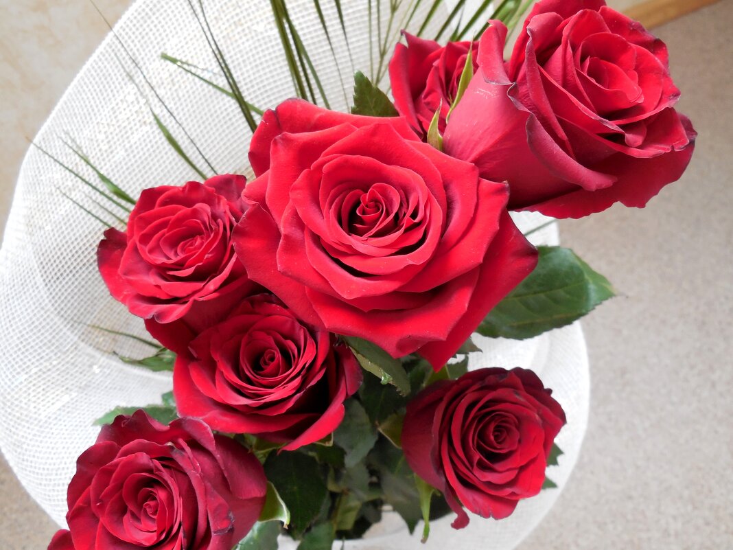 21 мая -Всемирный день розы! - Надежда 