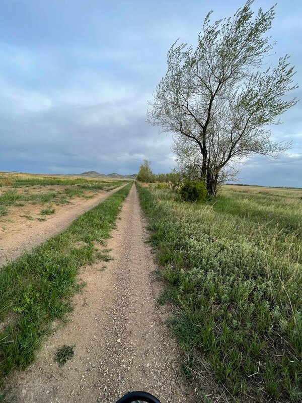 Дорога,в степи - Георгиевич 