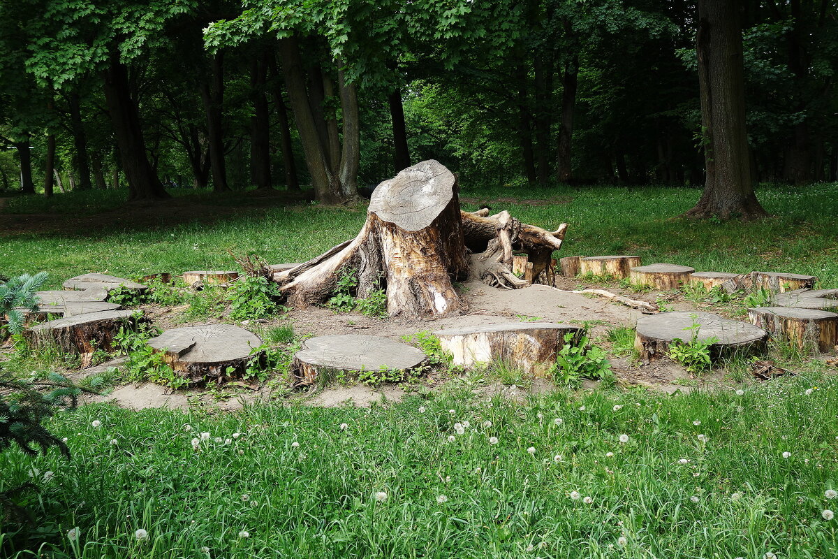 Зоны отдыха из подручных материалов в парке - Маргарита Батырева