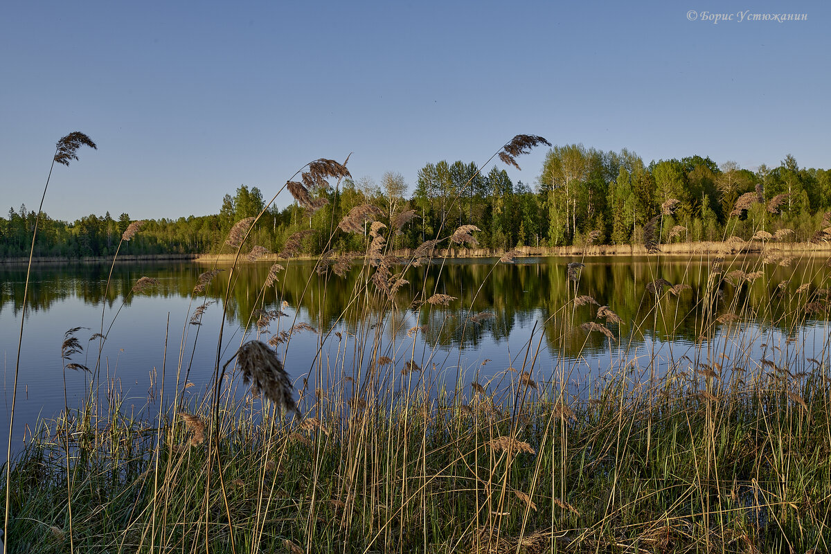 лесное озеро - Борис Устюжанин