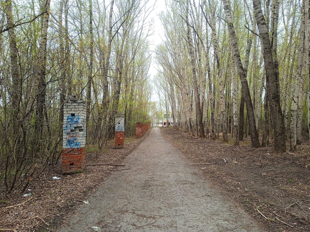 В забытом парке. - Евгений Шафер