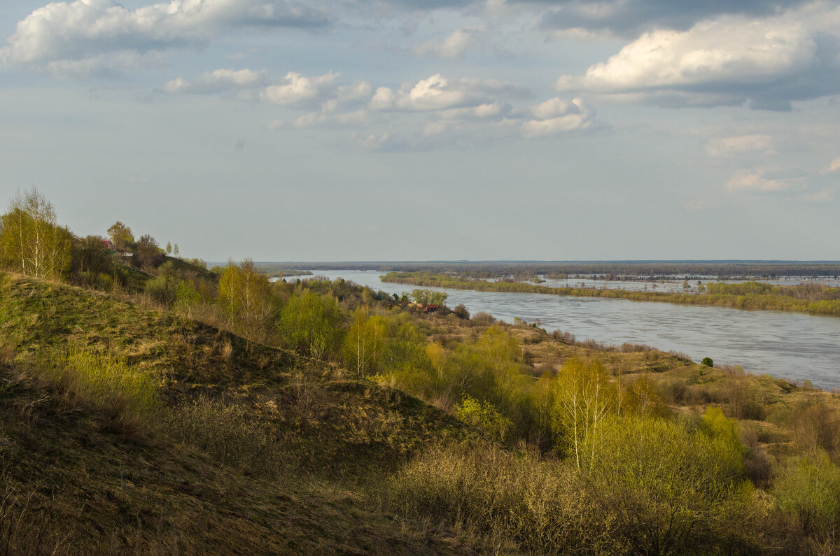 Разлив река ока 2023 - Анатолий Портнов