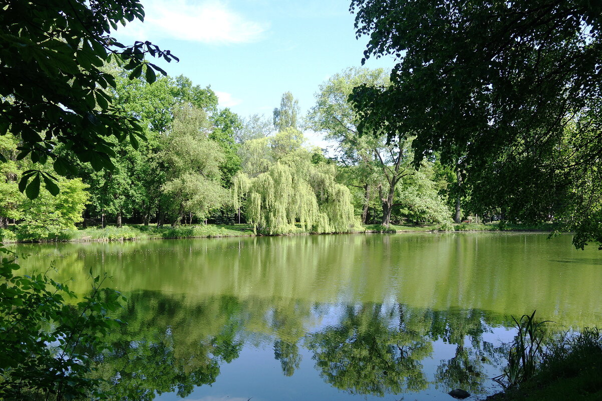 Парк Южный, Калининград - Маргарита Батырева