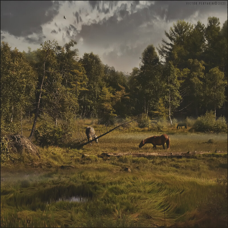 Лошади на болоте - Виктор Перякин
