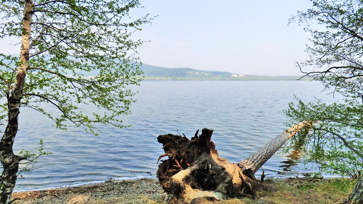 Озеро Ильменское - Oksana ***