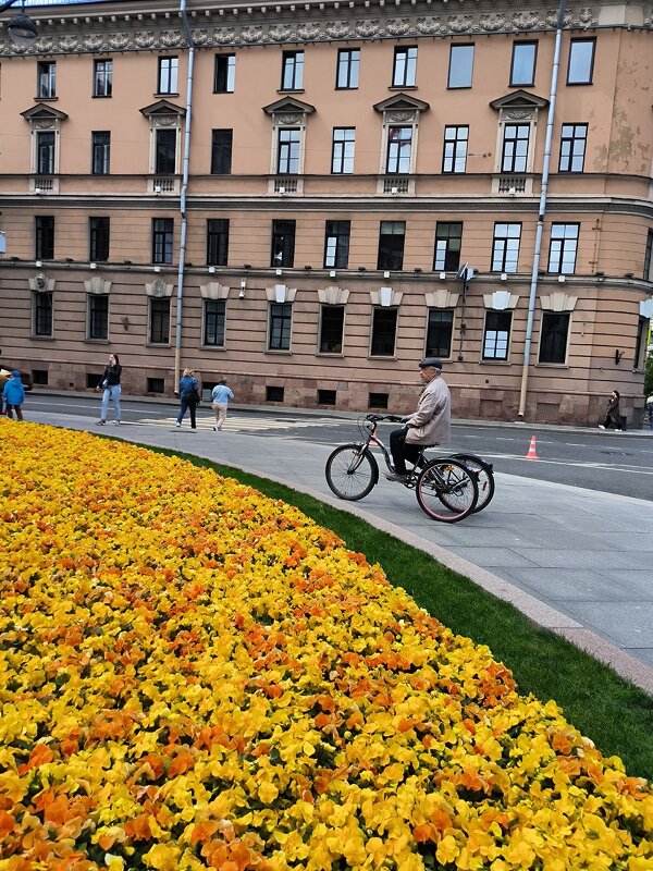 Велосипедист на Исаакиевской площади. - Ольга 