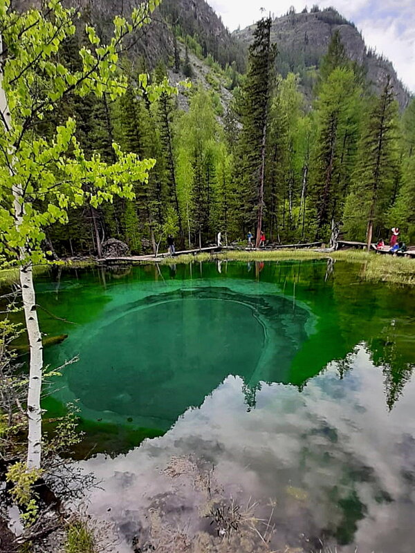 Гейзерное озеро - одна из достопримечательностей Горного Алтая - Ольга Довженко