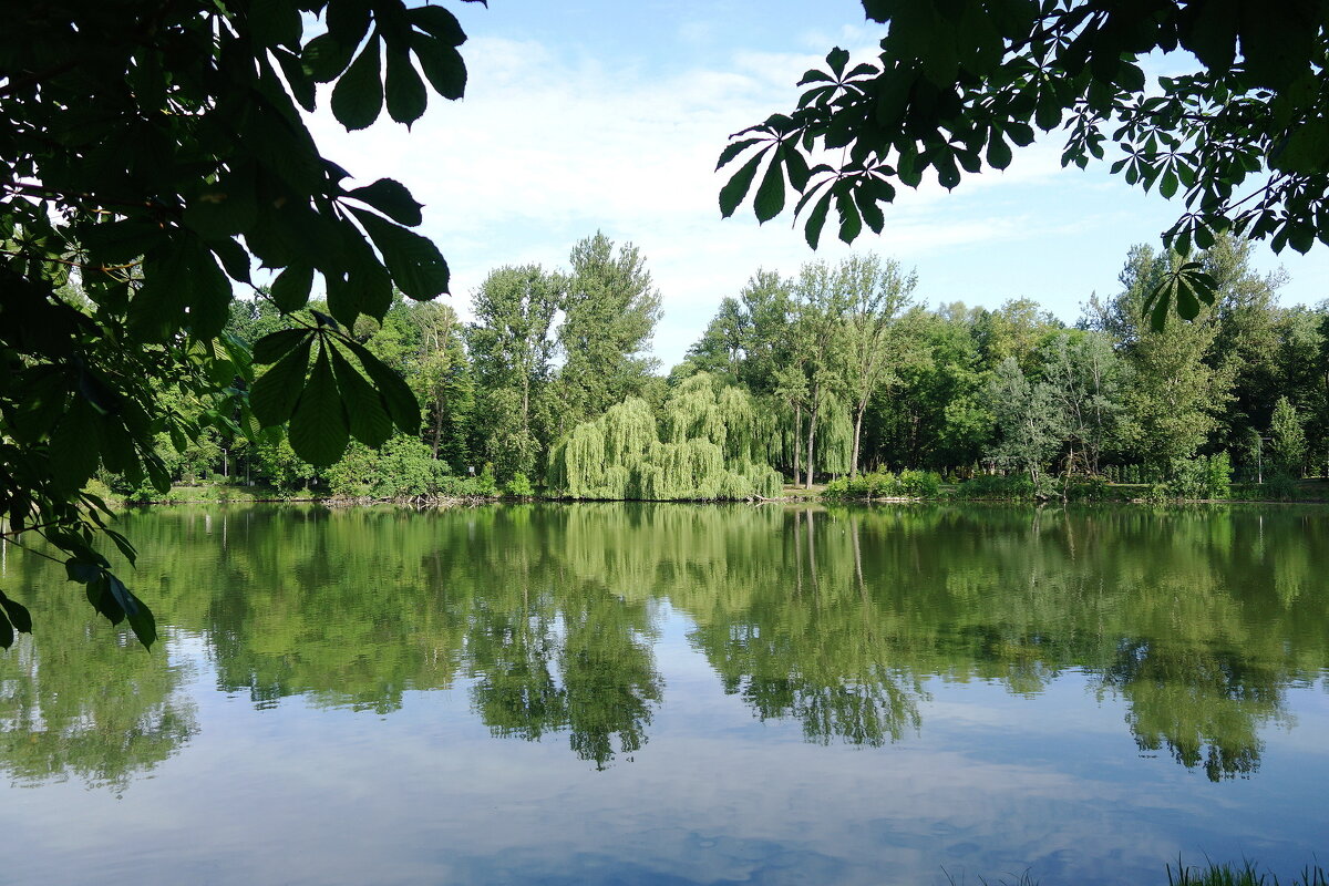 Парковые зарисовки - Маргарита Батырева