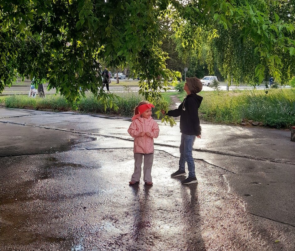 Дождя было мало .., душ с дерева ) - Мила Бовкун
