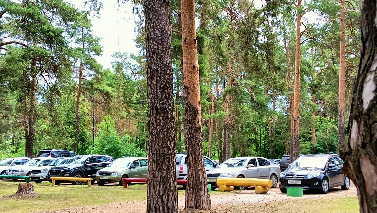 стоянка в лесу - Владимир 