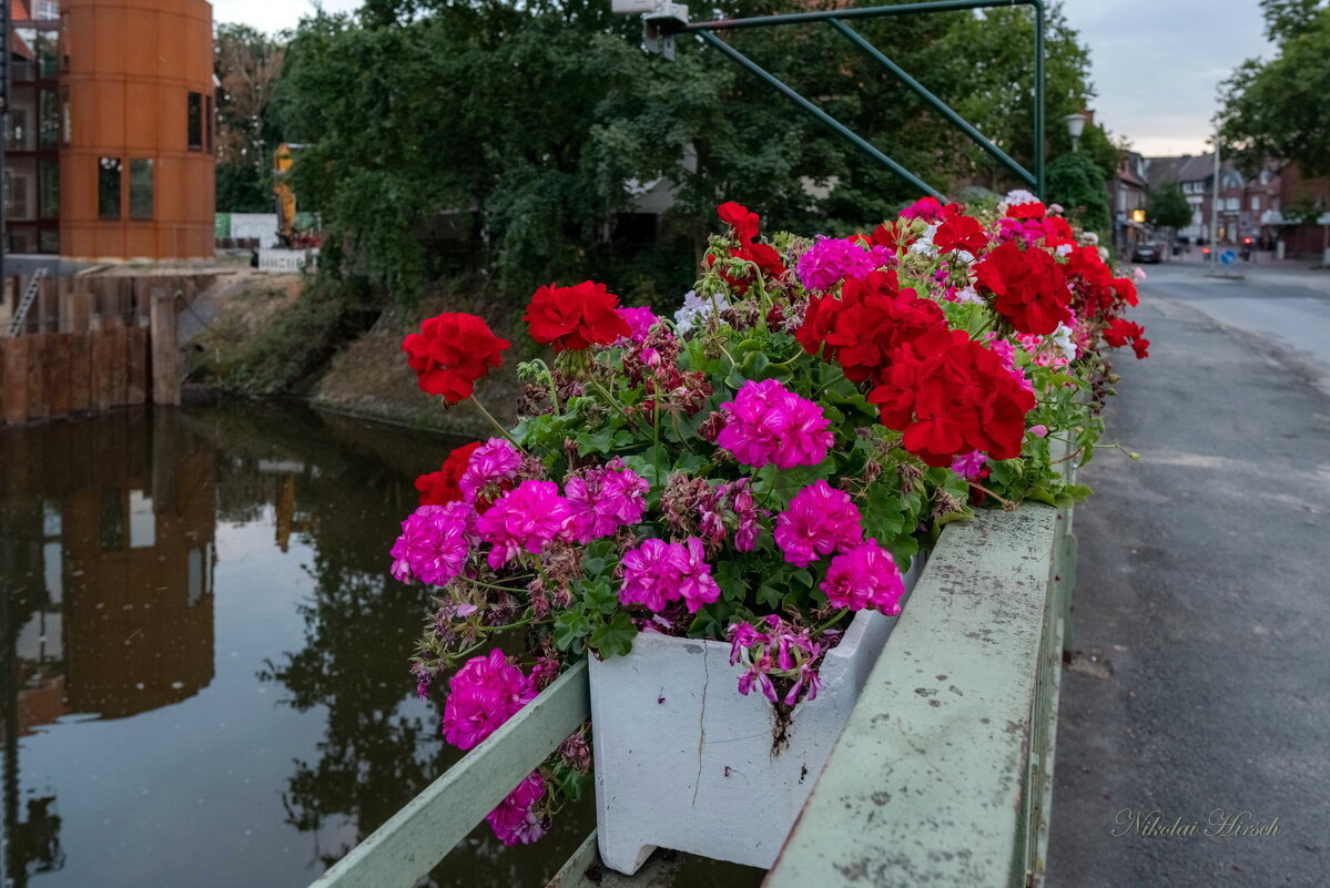 Вечерние цветы  на мосту - Николай Гирш