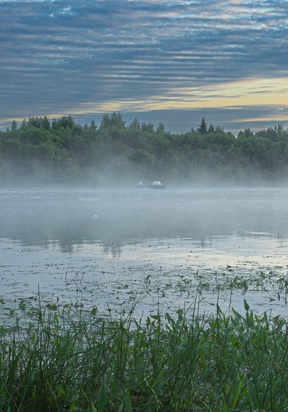 June morning near the Sukhona River | 12 - Sergey Sonvar