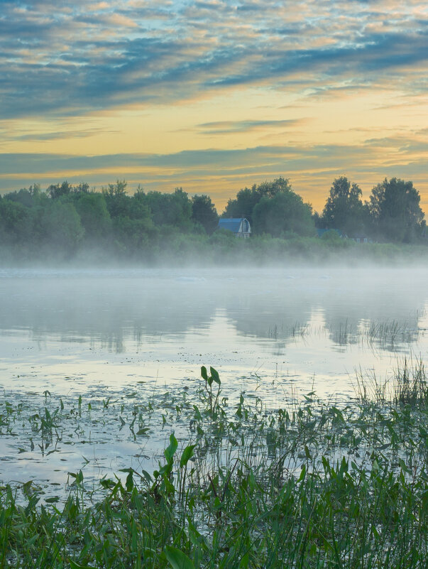 June morning near the Sukhona River | 15 - Sergey Sonvar