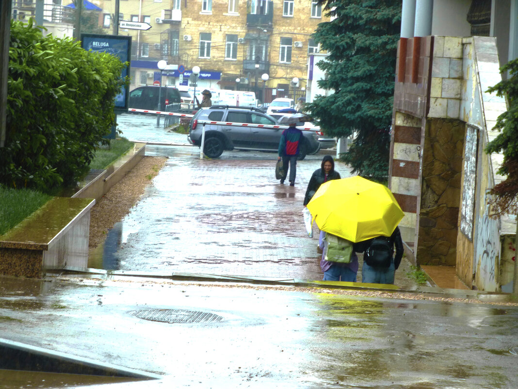 Весенние  дожди - Валентин Семчишин