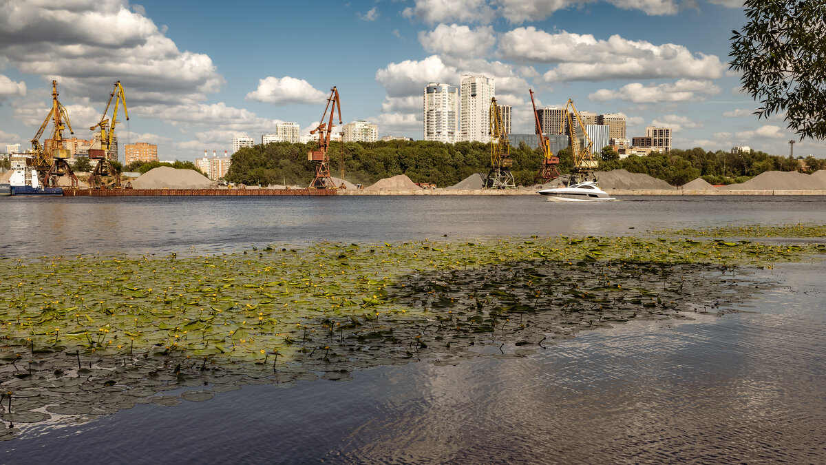 Тушинский Парк, Москва - Михаил Панкратов