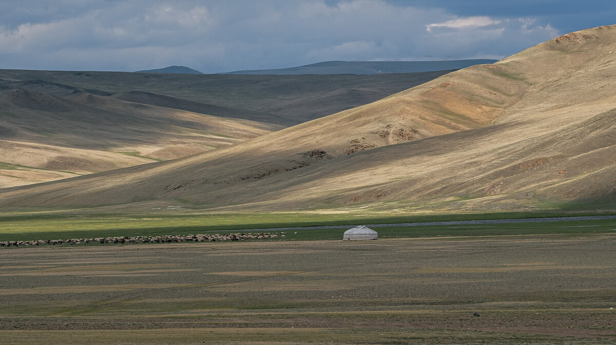 Просторы Монголии. Стада и юрты пастухов - Galina 