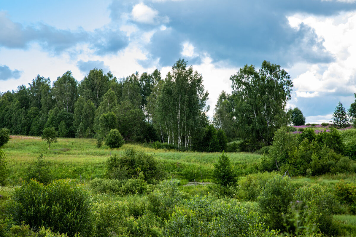 Лето - Александр 