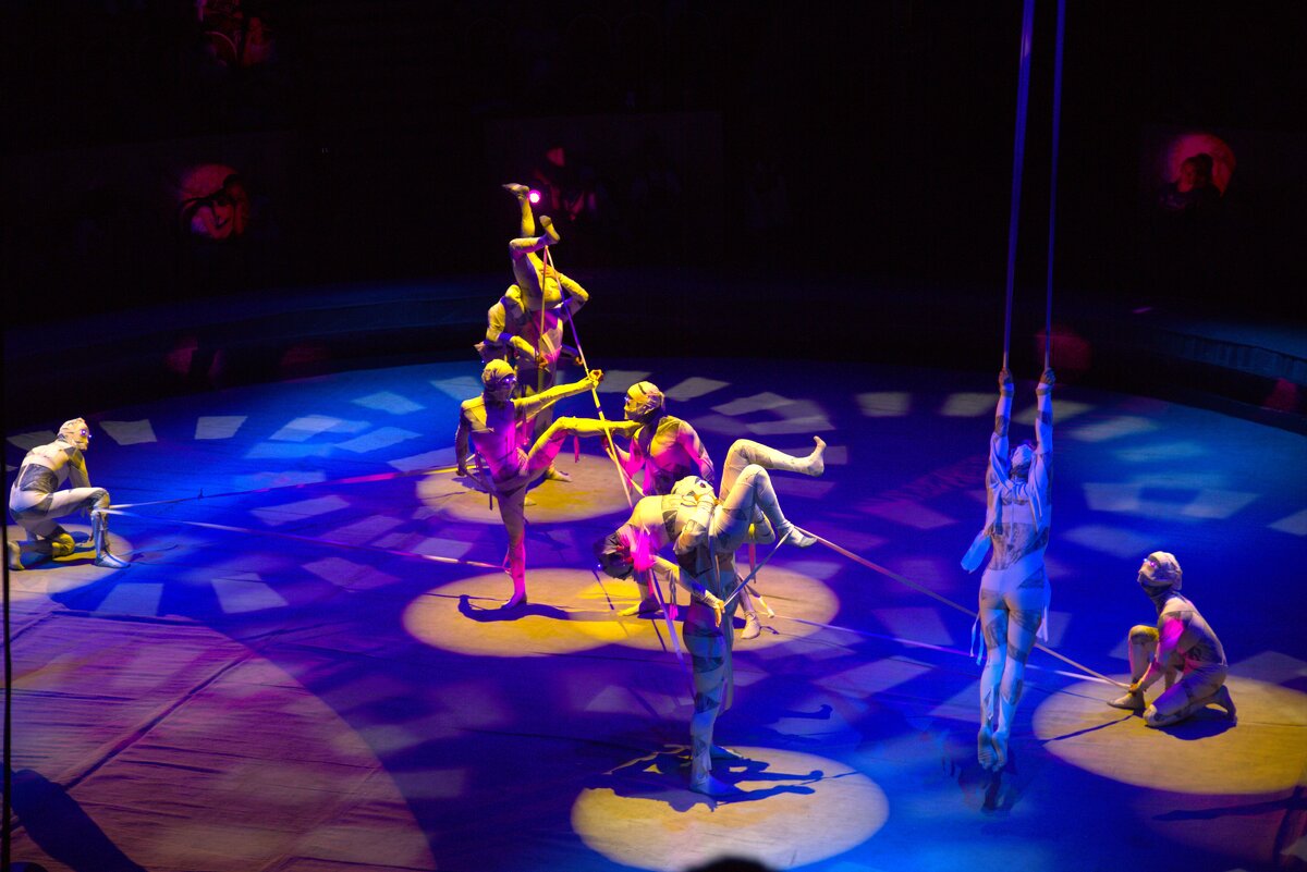 Акробаты на арене цирка - Танзиля Завьялова