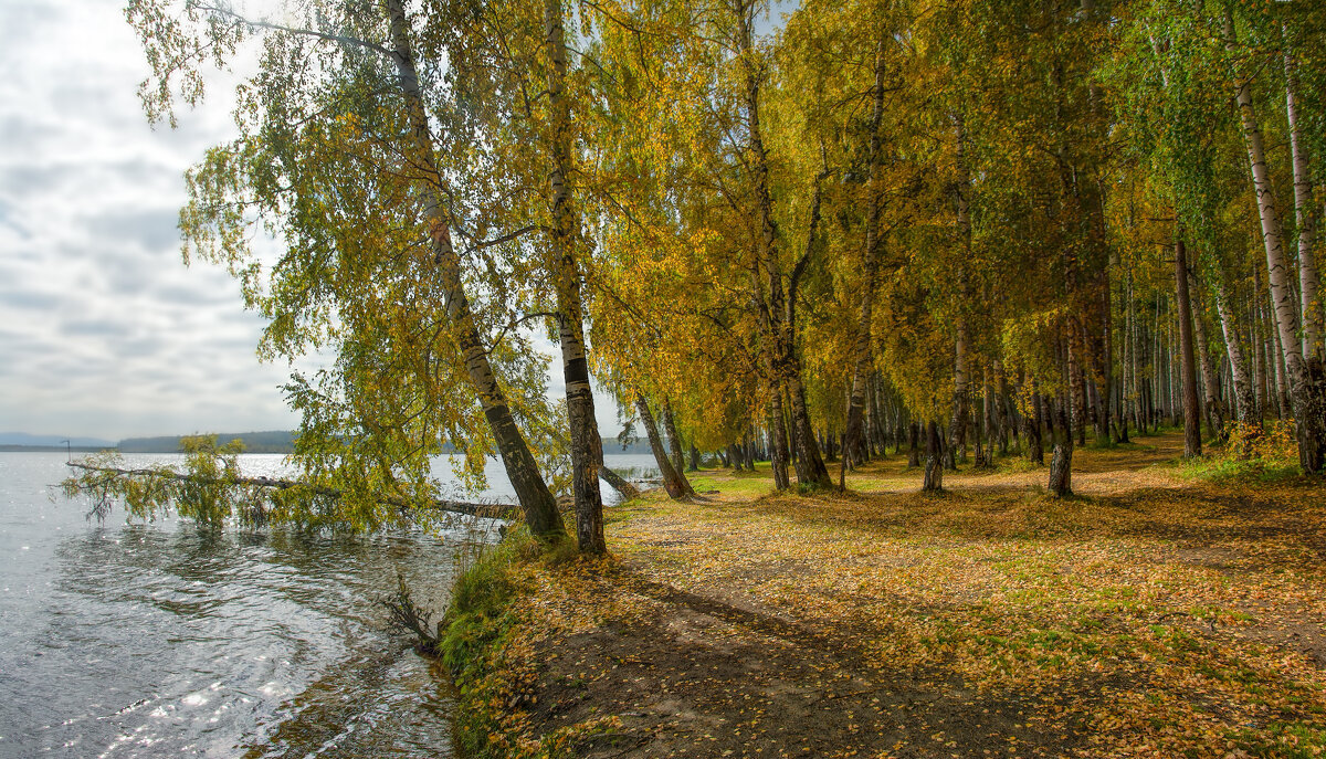 Осенний берег - Vladimbormotov 