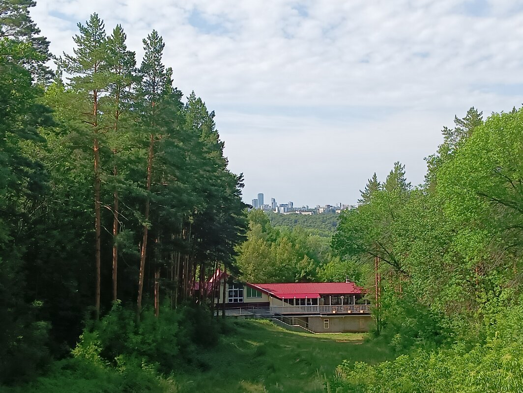 Дом с красной крышей - ольга хакимова