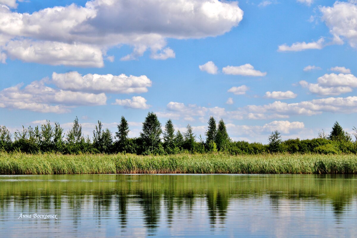 Озеро Лебяжье большое, но полностью скрыто камышами и попасть на открытую воду можно только на лодке - Восковых Анна Васильевна 