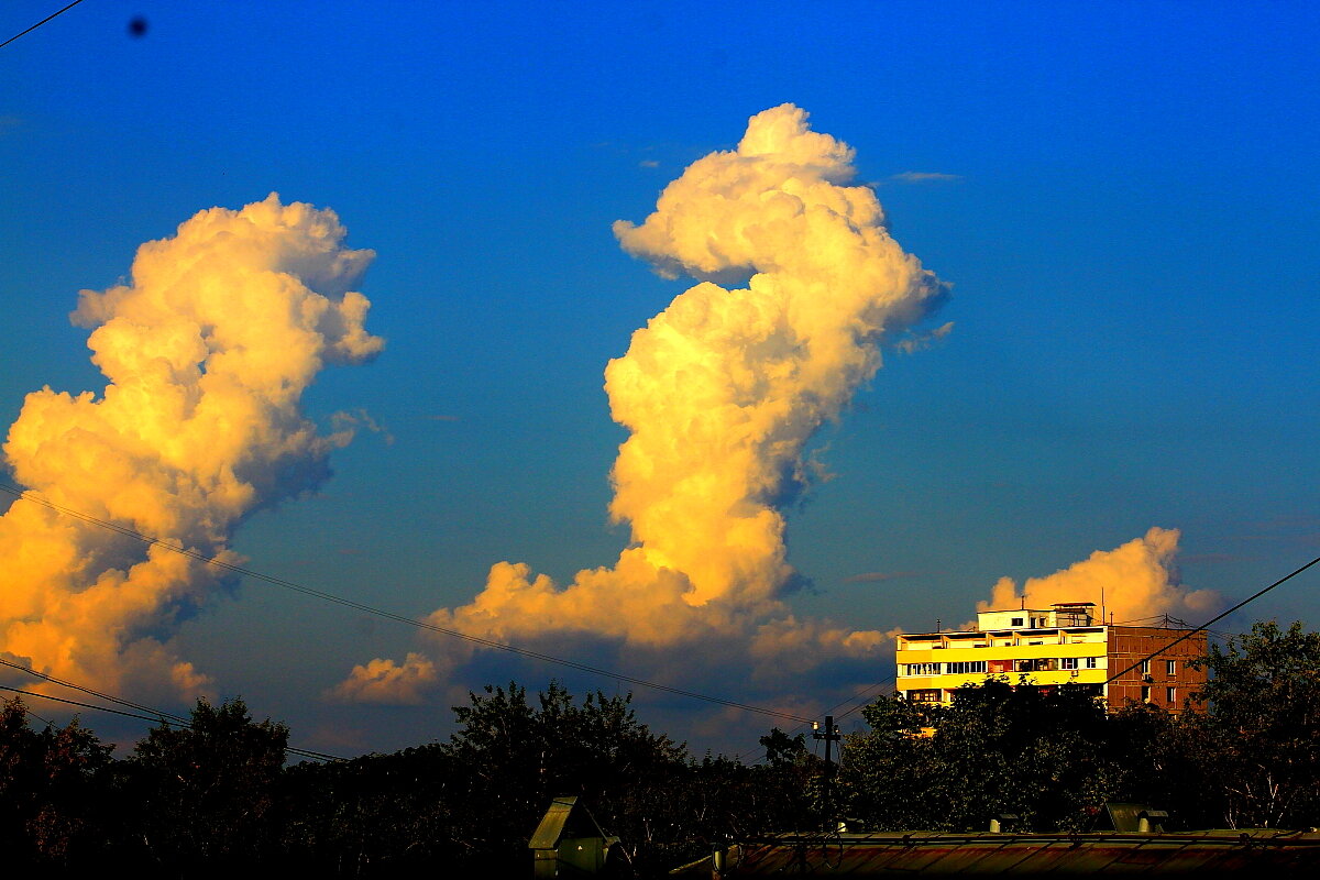 Облака танцующие  Ламбаду... Вчера - олег свирский 