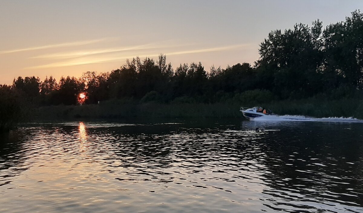 Новоладожский канал. Август - Наталья Герасимова