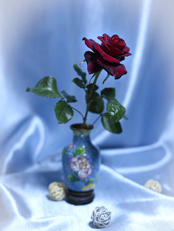Роза красная цвела гордо и неторопливо... - Irene Irene