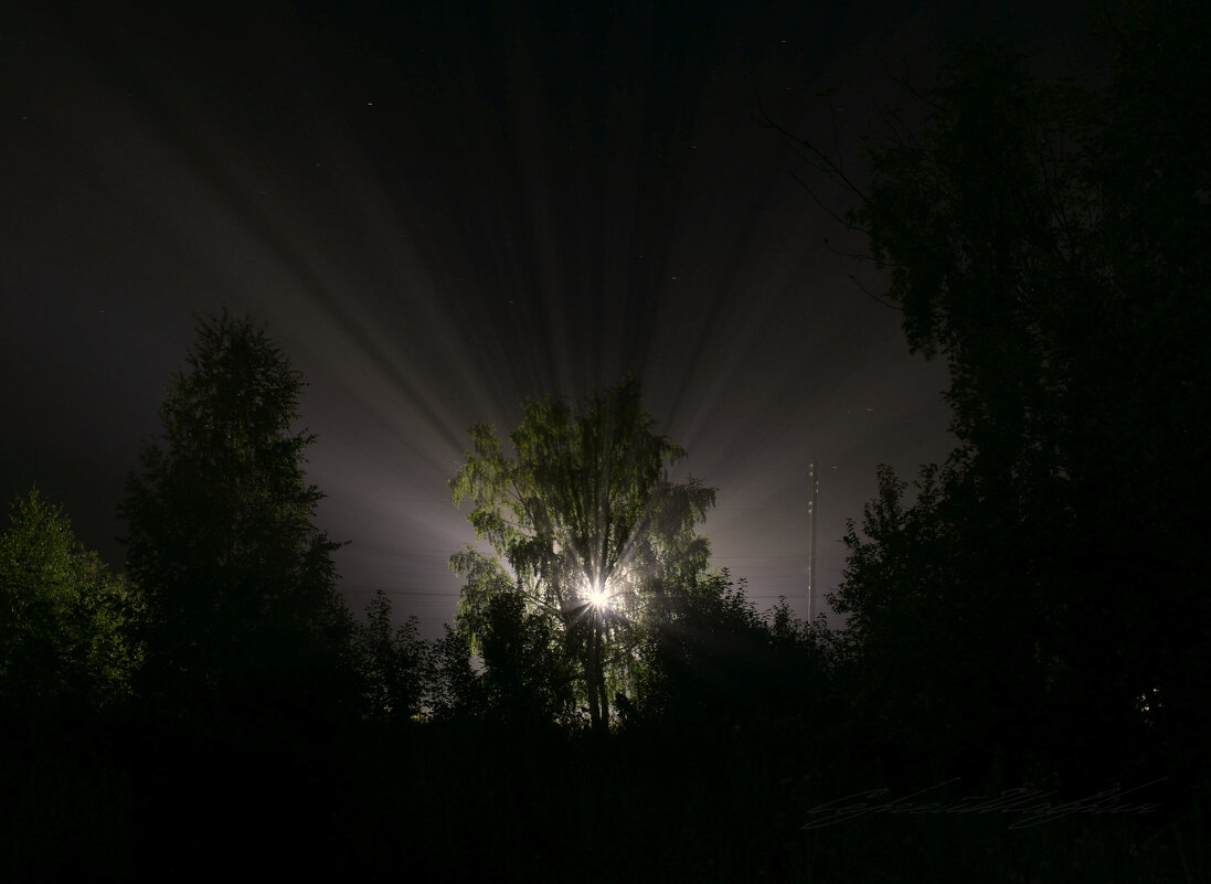 Ночной туман - Сергей Шаврин