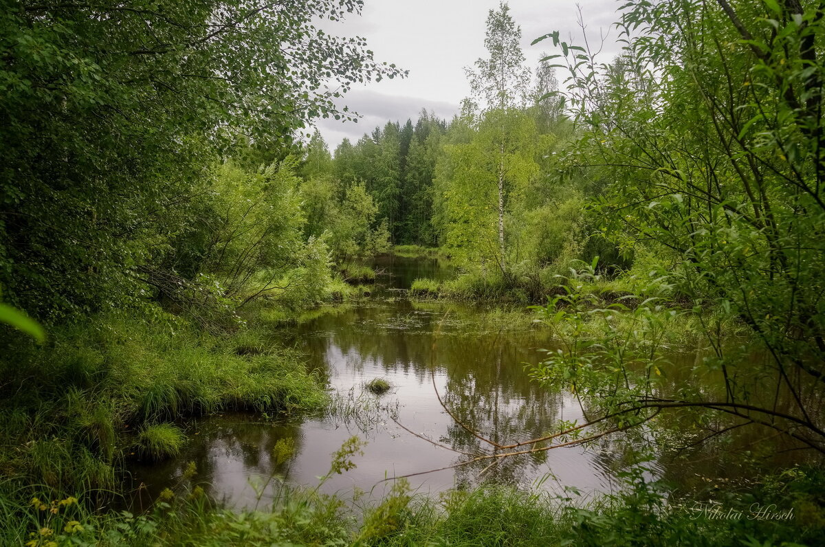 Разлив - Николай Гирш