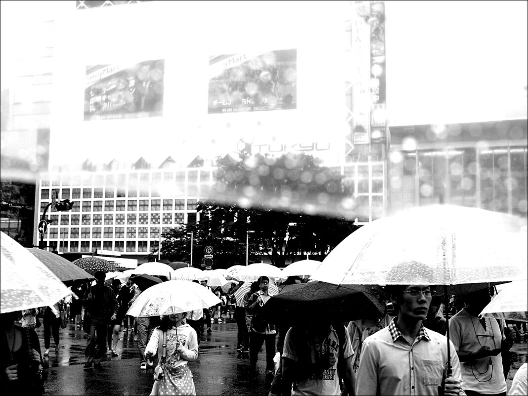 Фото под зонтом Токио Япония - wea *