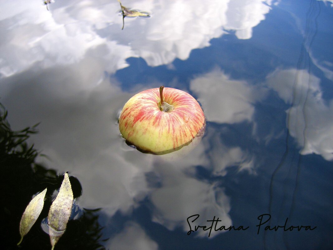 Плыло яблочко по облакам… - Светлана Павлова