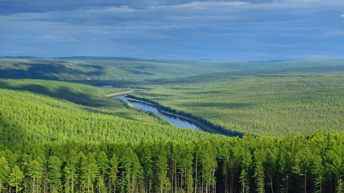 В долине намечается гроза - Александр Ульныров