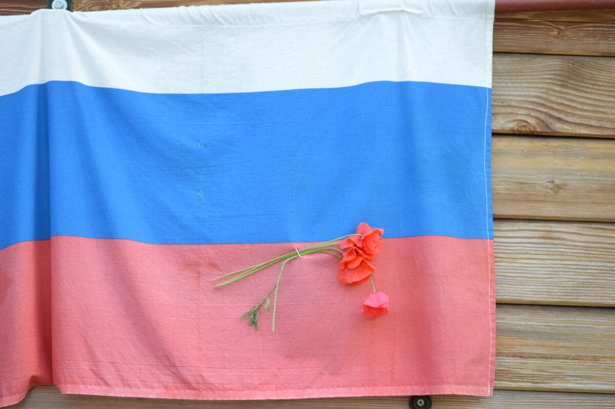 День флага России - Татьяна Лютаева